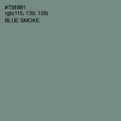 #738B81 - Blue Smoke Color Image