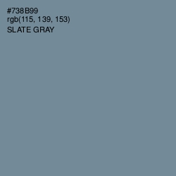 #738B99 - Slate Gray Color Image