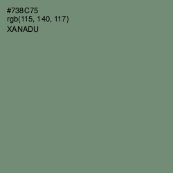 #738C75 - Xanadu Color Image
