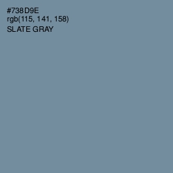 #738D9E - Slate Gray Color Image