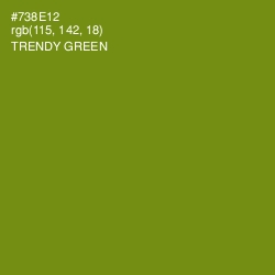 #738E12 - Trendy Green Color Image