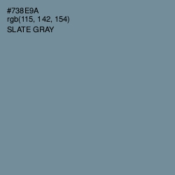 #738E9A - Slate Gray Color Image