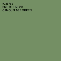 #738F63 - Camouflage Green Color Image