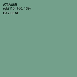 #73A08B - Bay Leaf Color Image