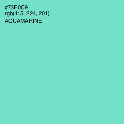 #73E0C9 - Aquamarine Color Image