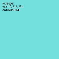 #73E0DE - Aquamarine Color Image