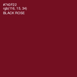 #740F22 - Black Rose Color Image