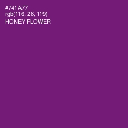#741A77 - Honey Flower Color Image
