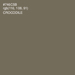 #746C5B - Crocodile Color Image