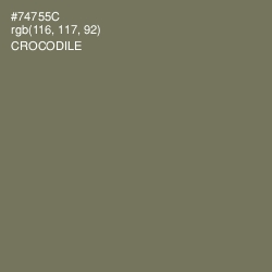 #74755C - Crocodile Color Image