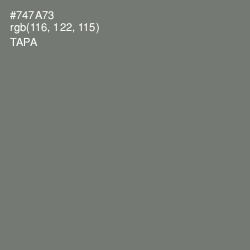 #747A73 - Tapa Color Image