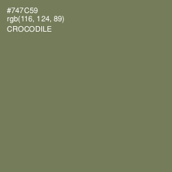 #747C59 - Crocodile Color Image