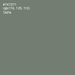 #747D71 - Tapa Color Image