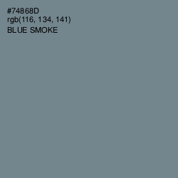#74868D - Blue Smoke Color Image
