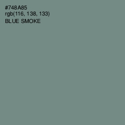 #748A85 - Blue Smoke Color Image