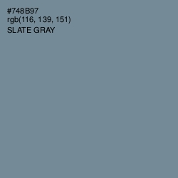 #748B97 - Slate Gray Color Image