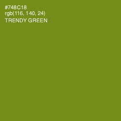 #748C18 - Trendy Green Color Image