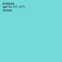 #74D9D9 - Viking Color Image