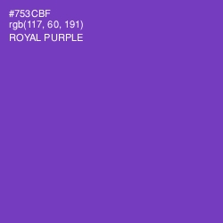 #753CBF - Royal Purple Color Image