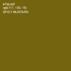 #75640F - Spicy Mustard Color Image