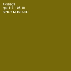 #756909 - Spicy Mustard Color Image