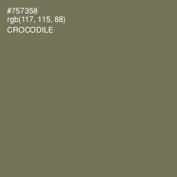 #757358 - Crocodile Color Image