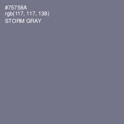 #75758A - Storm Gray Color Image