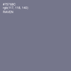 #75768C - Raven Color Image