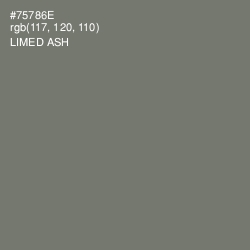 #75786E - Limed Ash Color Image
