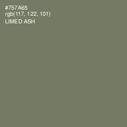 #757A65 - Limed Ash Color Image