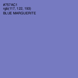 #757AC1 - Blue Marguerite Color Image