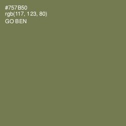 #757B50 - Go Ben Color Image