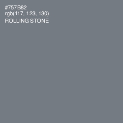 #757B82 - Rolling Stone Color Image