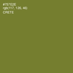 #757E2E - Crete Color Image
