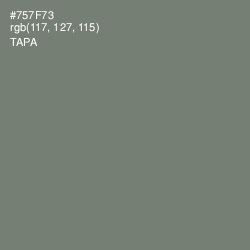 #757F73 - Tapa Color Image