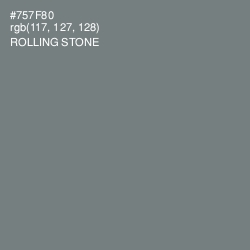 #757F80 - Rolling Stone Color Image