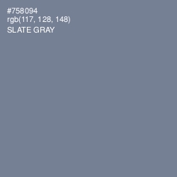 #758094 - Slate Gray Color Image