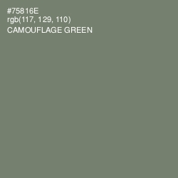 #75816E - Camouflage Green Color Image
