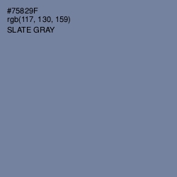 #75829F - Slate Gray Color Image