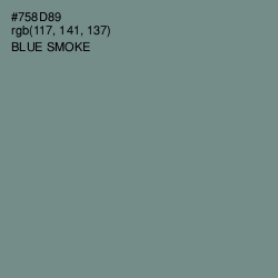 #758D89 - Blue Smoke Color Image