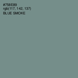 #758E89 - Blue Smoke Color Image