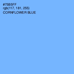 #75B5FF - Cornflower Blue Color Image