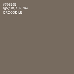 #766B5E - Crocodile Color Image