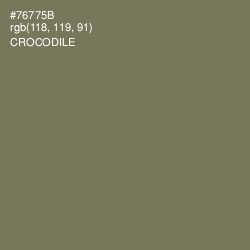 #76775B - Crocodile Color Image