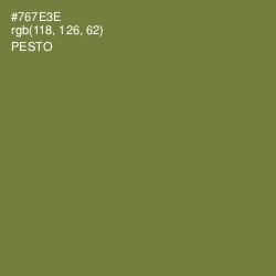 #767E3E - Pesto Color Image