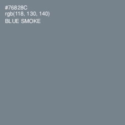 #76828C - Blue Smoke Color Image