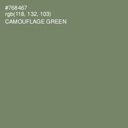 #768467 - Camouflage Green Color Image
