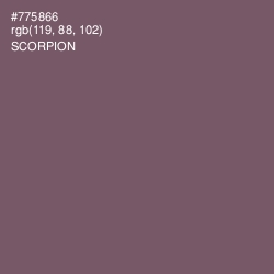 #775866 - Scorpion Color Image