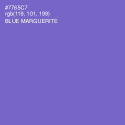 #7765C7 - Blue Marguerite Color Image