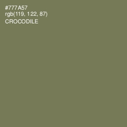 #777A57 - Crocodile Color Image